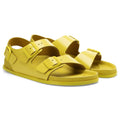 1774 Milano - Yellow