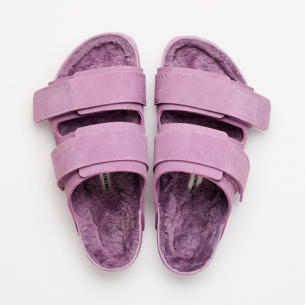 Uji Suede Tekla Suede Leather - Mauve