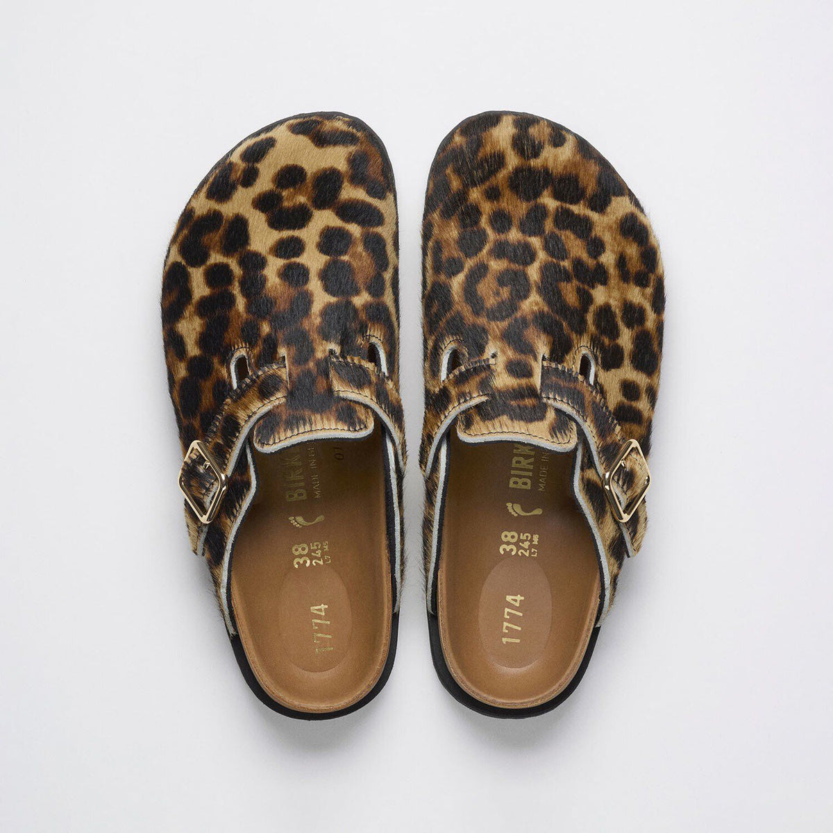 1774 Boston Fur - Classic Leo